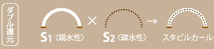 ダブル還元